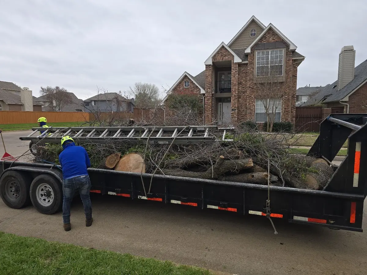Expert Lot Clearing with proper safety equipment in Melba